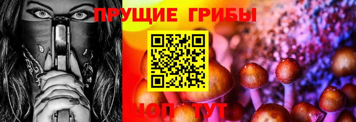 даркнет сайт  Вход с VPN  Алексин  Псилоцибиновые грибы MAGIC MUSHROOMS 