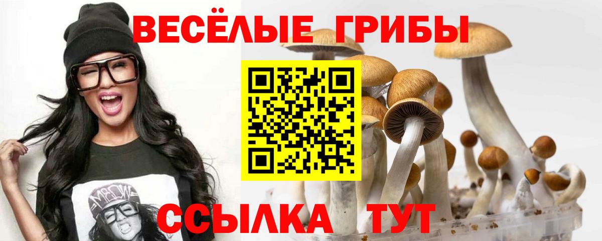 Галлюциногенные грибы ЛСД Алексин